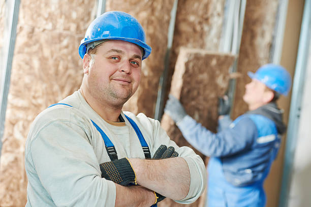 Best Spray Foam Insulation  in Harrisonville, MO